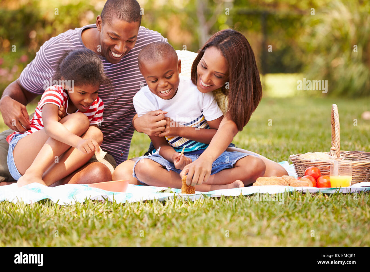 Family picnic spread on a blanket outdoors